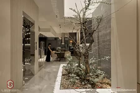 Thiết kế vườn trong nhà. Liệu có nên và Làm sao cho đúng?