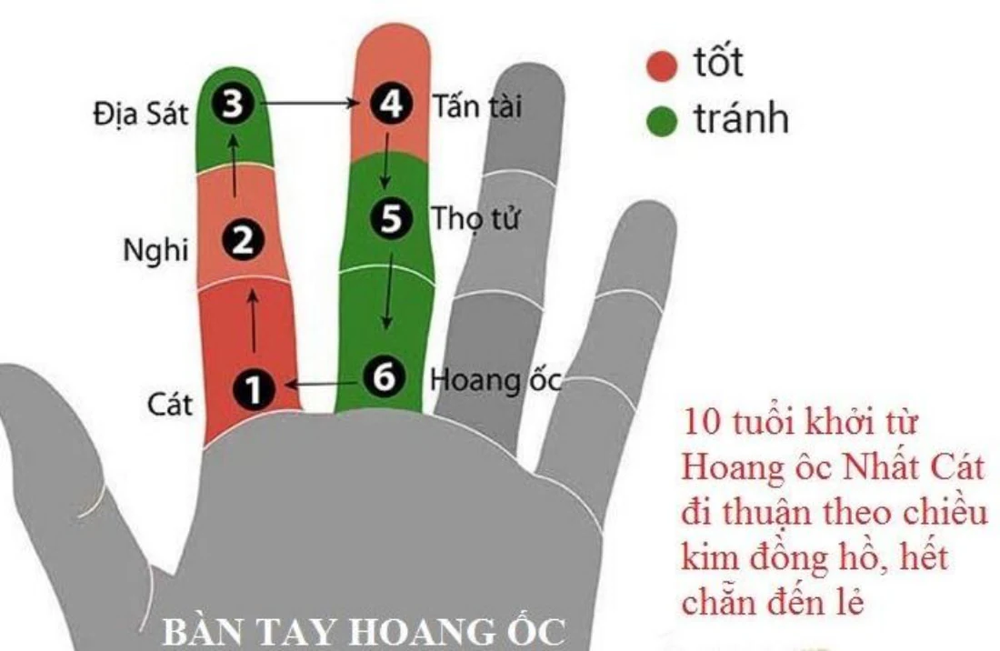 Xem Tuổi Làm Nhà Năm 2026 Tốt Nhất Mang Lại Tài Lộc May Mắn